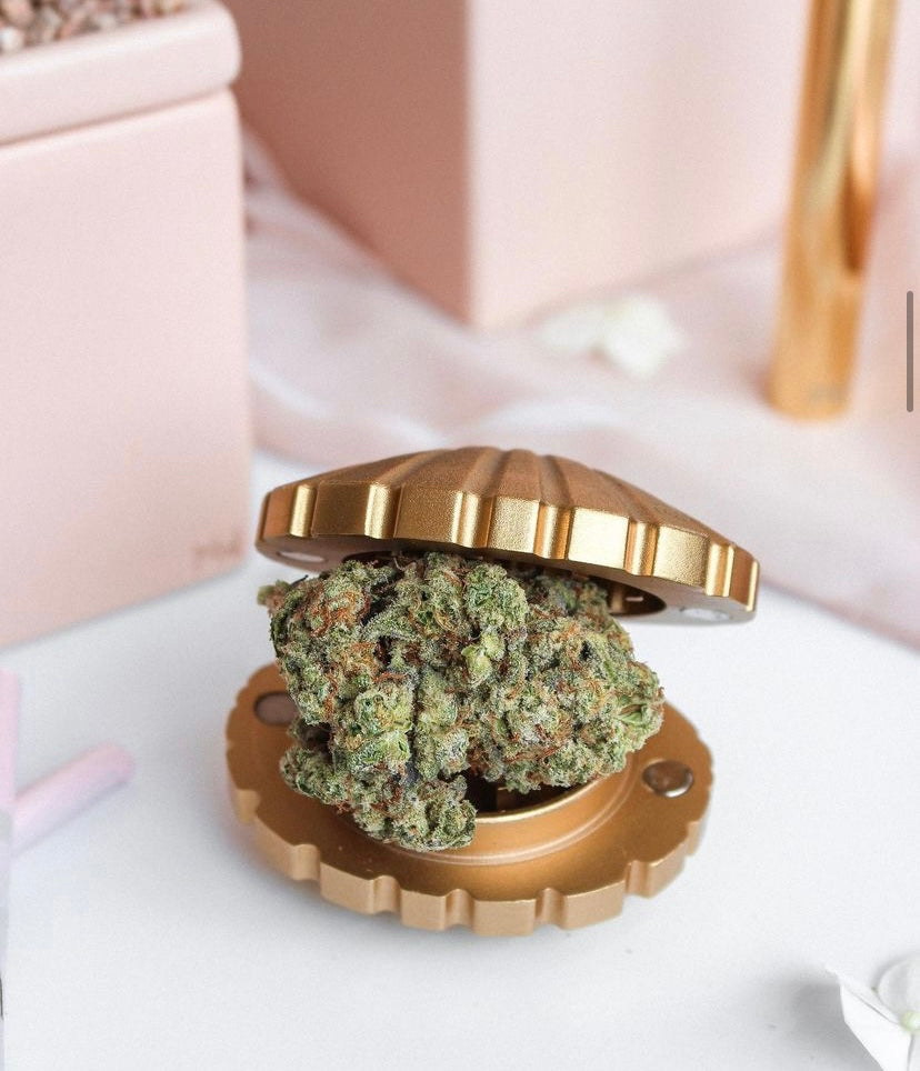 Stay Golden Seashell Weed Grinder