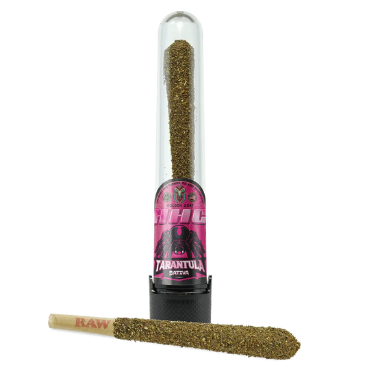 HHC Tarantula Premium Kief Doobie – 200mg – 2g – Sativa