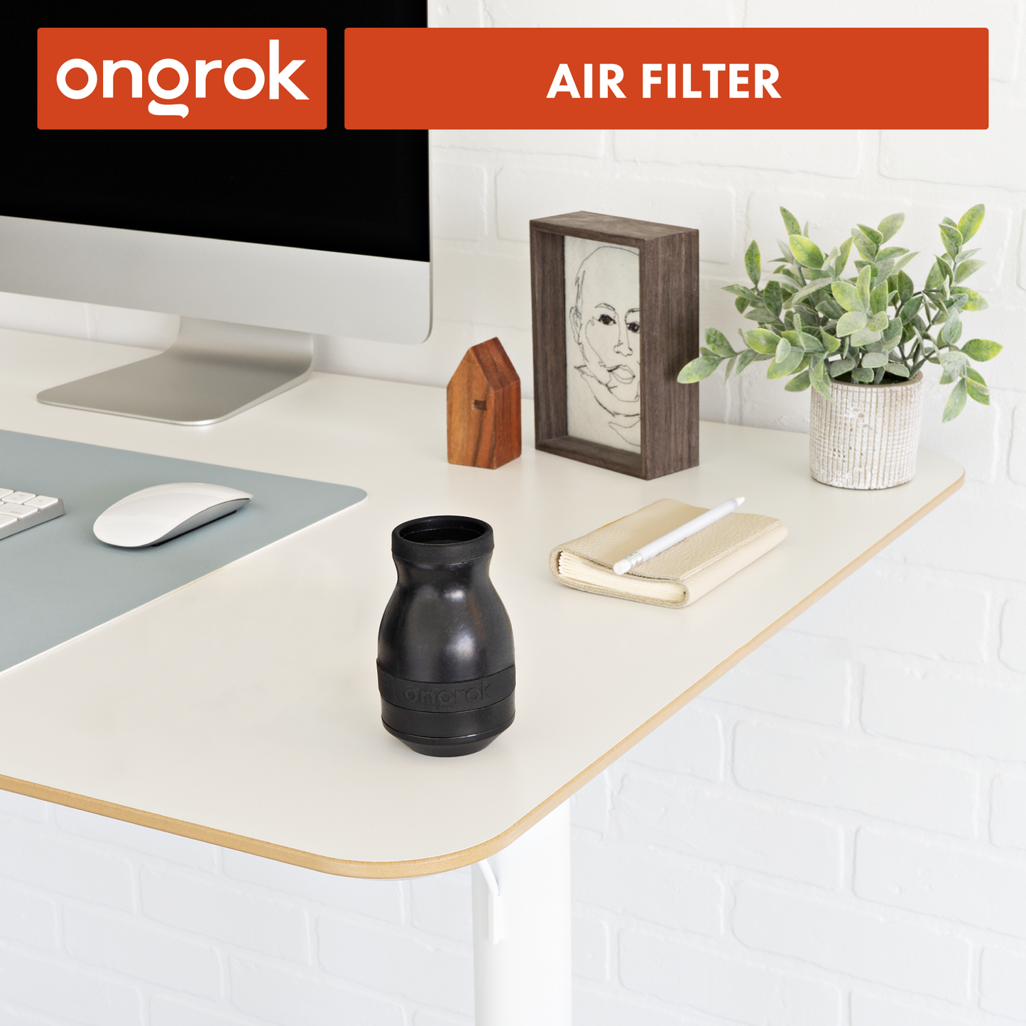 Ongrok Plant-Based Filter