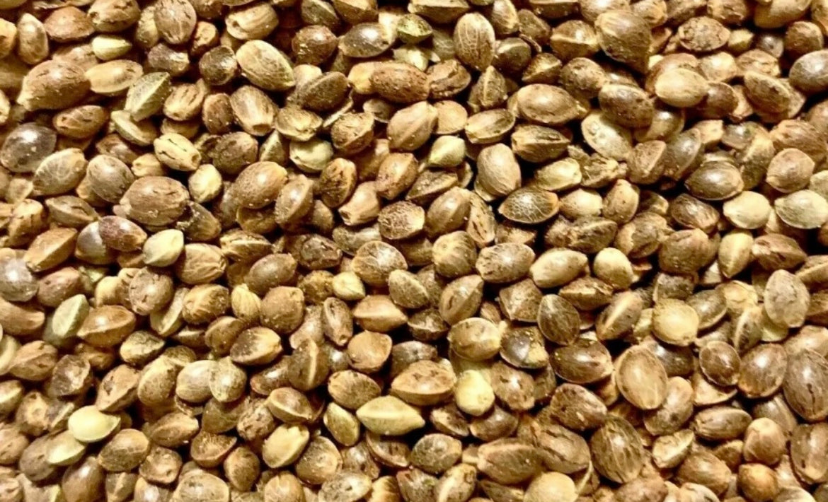 (50 Grams) Ripkitty Premium Whole Hemp Seeds Nuts Organic